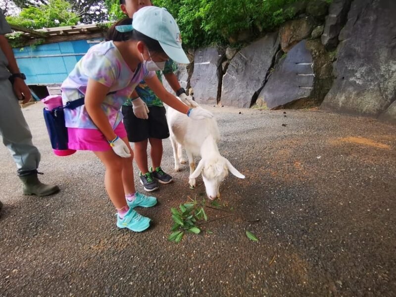 🌸 노코노시마 아일랜드 파크 (노코노시마 아이란도파쿠) 이미지 8